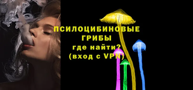 Галлюциногенные грибы Psilocybe  Белая Калитва 